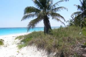 Development Site for Resort, Bahamas