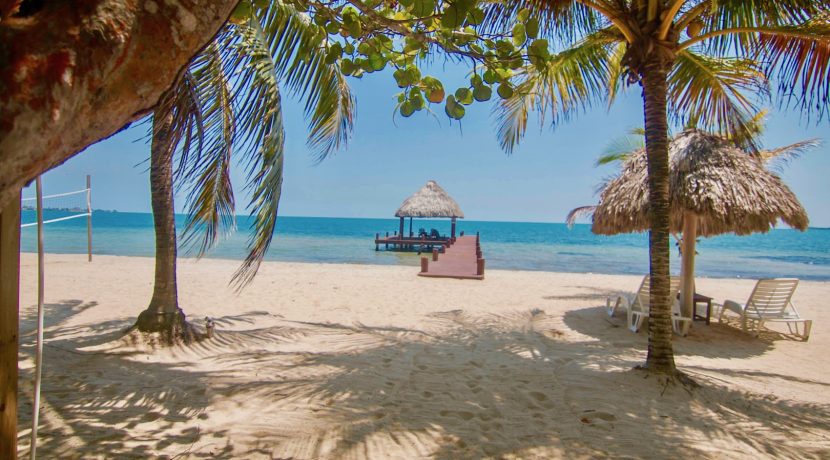 R125 - Green Parrot - Caribbean Sea pier